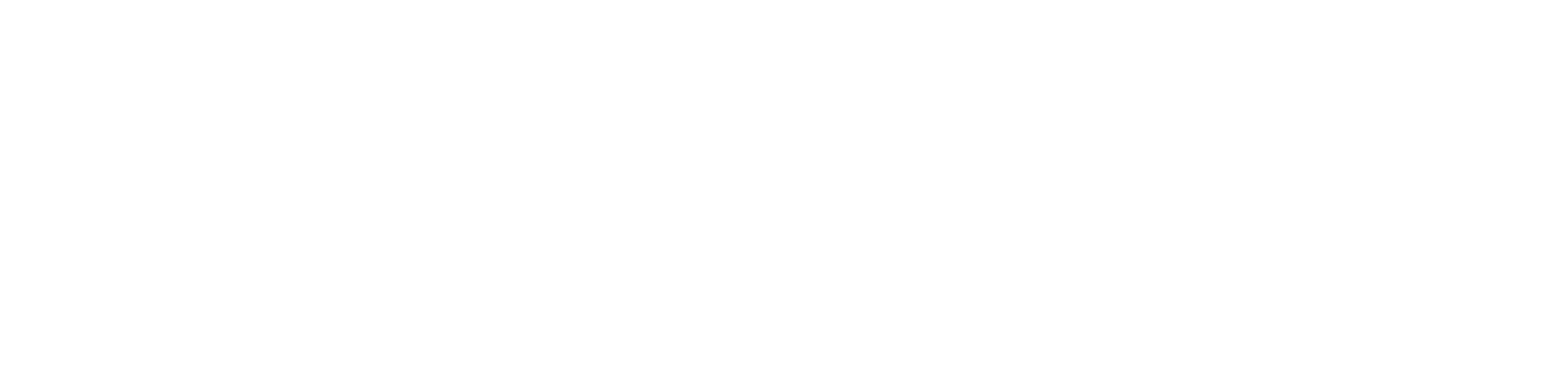 Sean Snyder INK